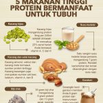 makanan tinggi protein