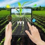 The Role of AI in Smart Agriculture