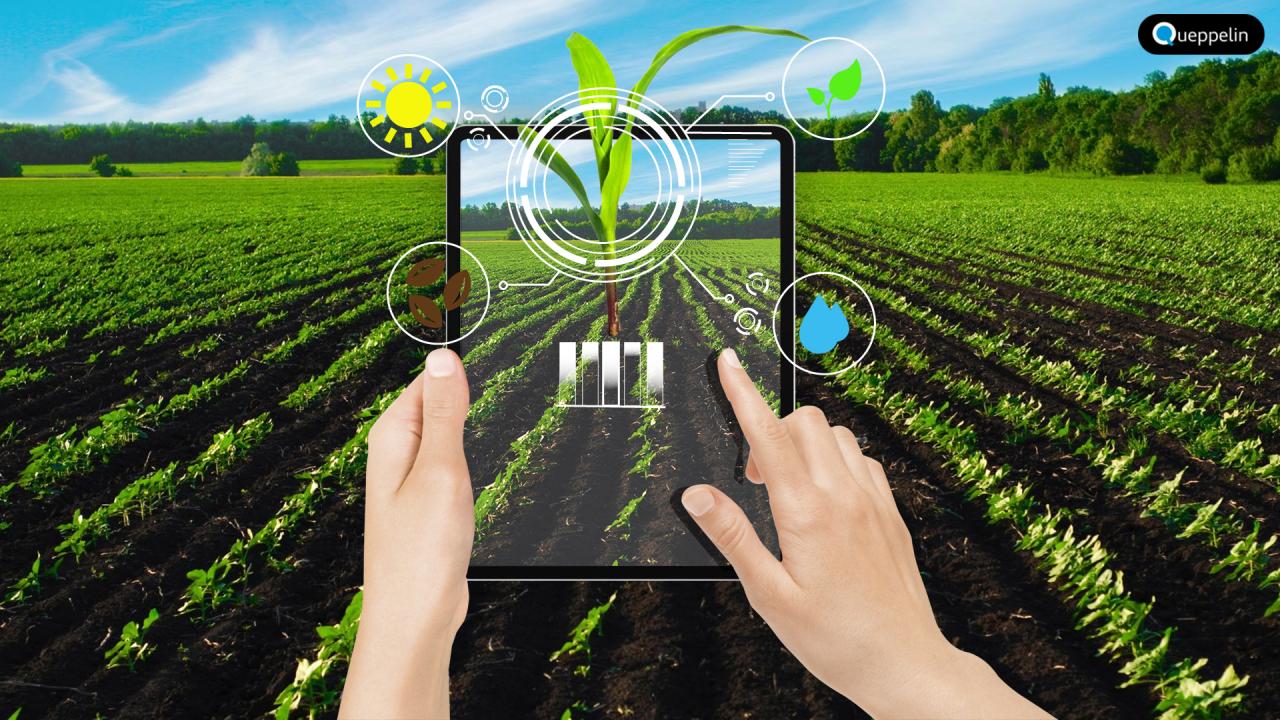 The Role of AI in Smart Agriculture