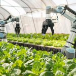 The Role of AI in Smart Agriculture and Food Production