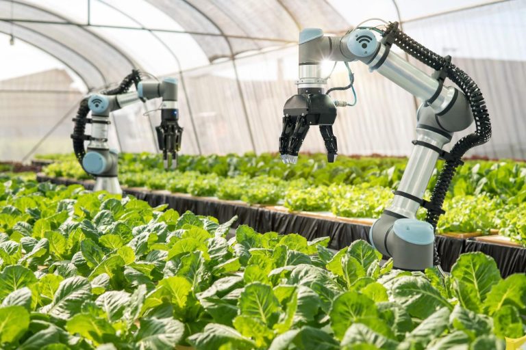 The Role of AI in Smart Agriculture and Food Production